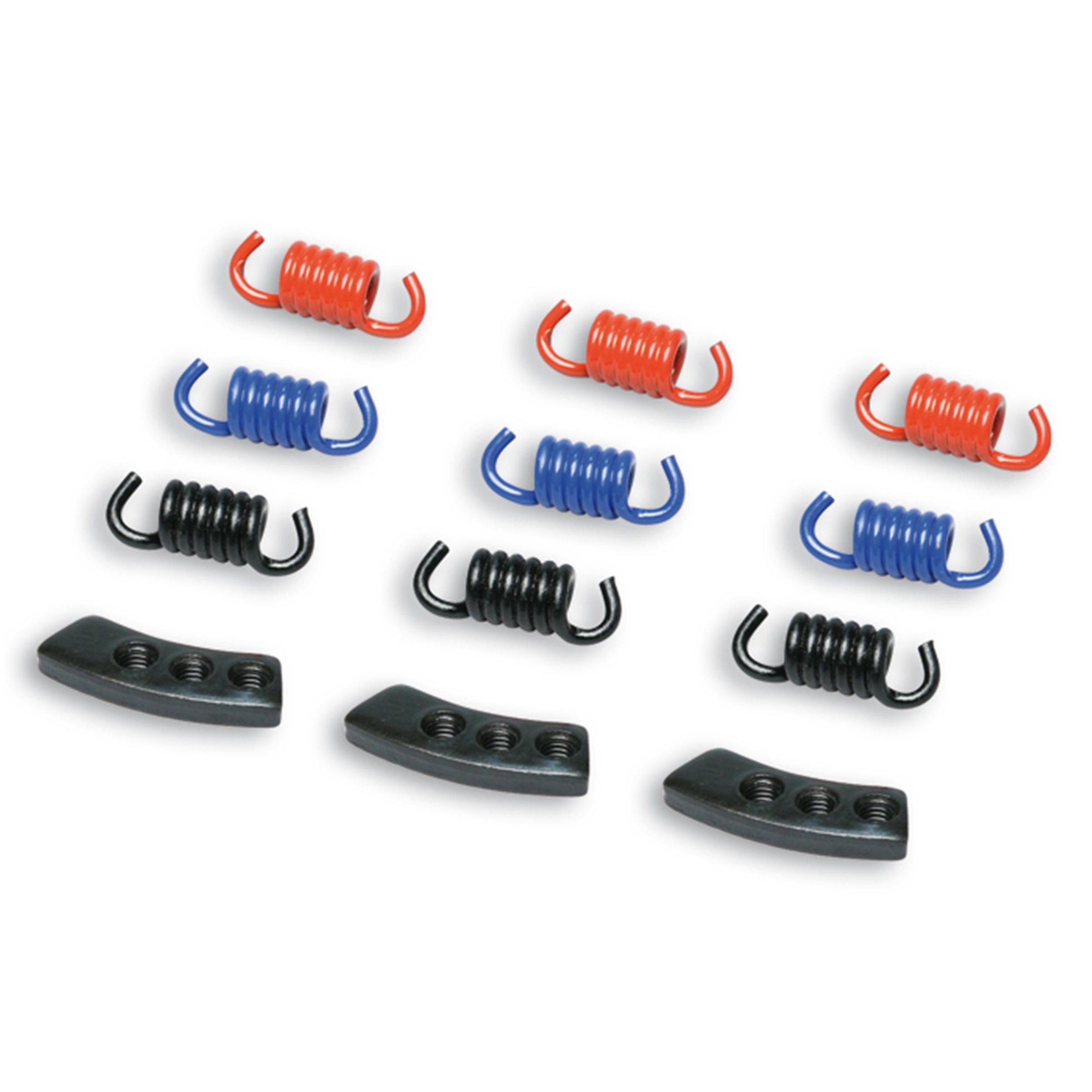 Image of Kupplungsfedern MALOSSI Race Delta Clutch 29 8747 für M527643/M527879/M527880/M529451/M5215166/M528796/M528797/M528798/M529450