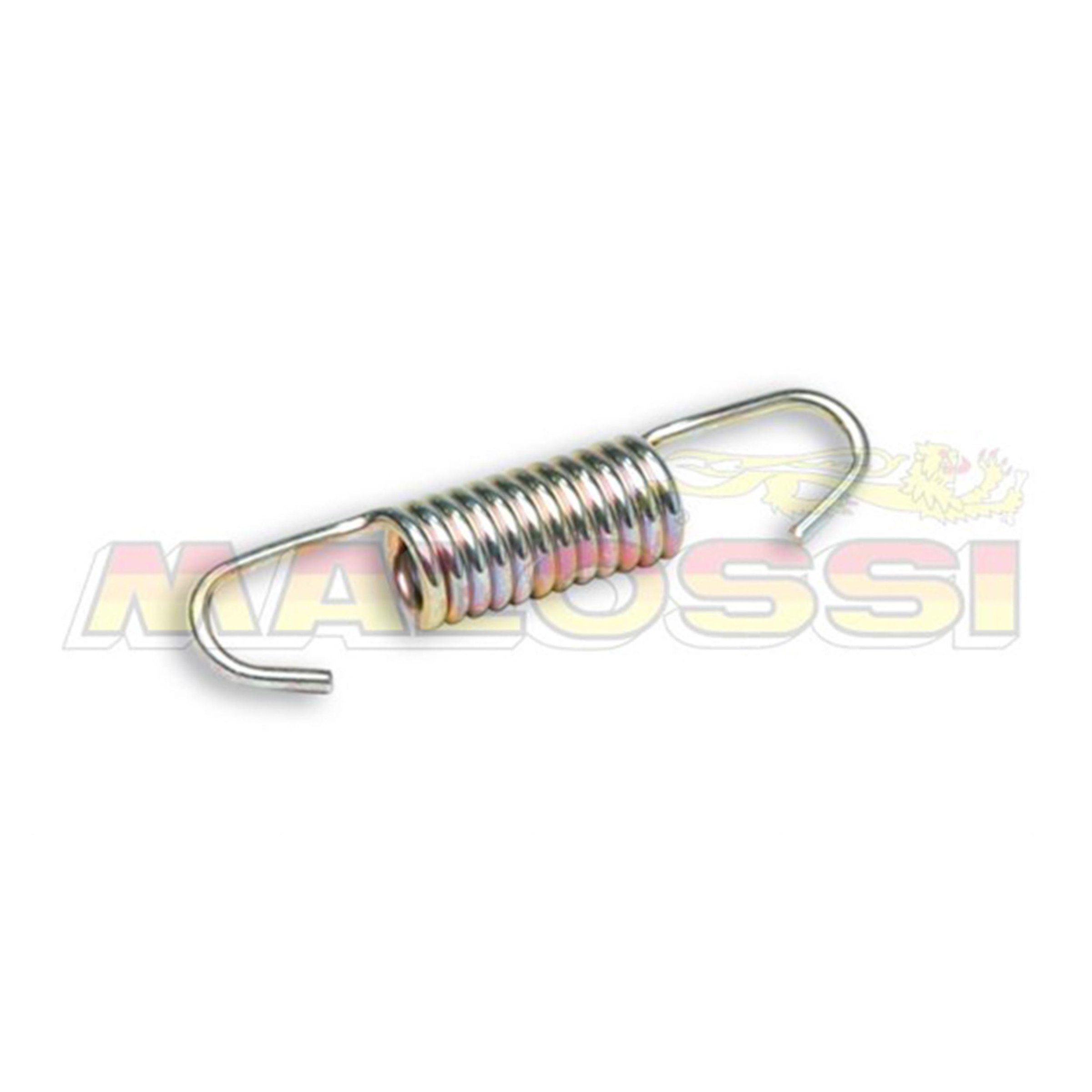 Image of Feder Auspuff MALOSSI MHR, 29 5923B