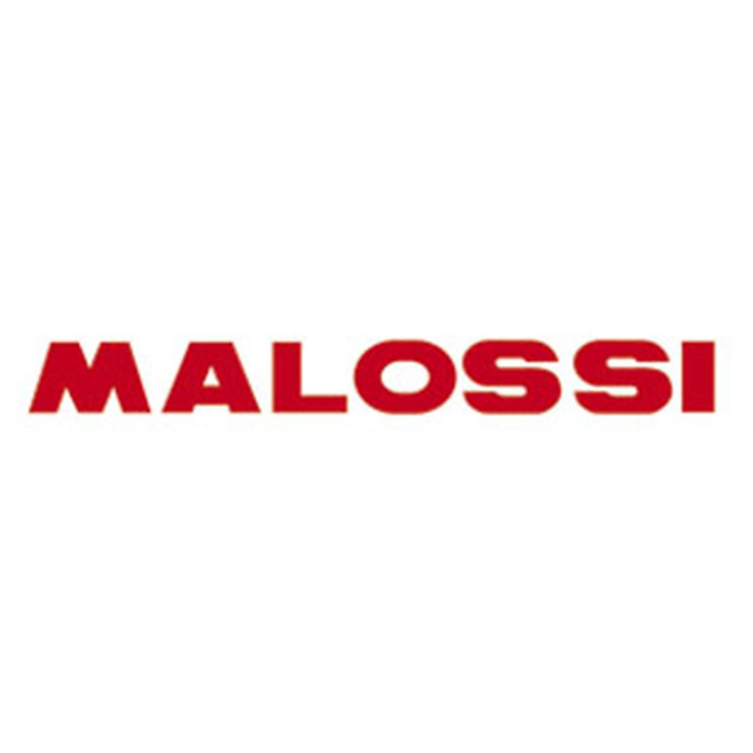 Image of Banner MALOSSI "LOGO" weiß