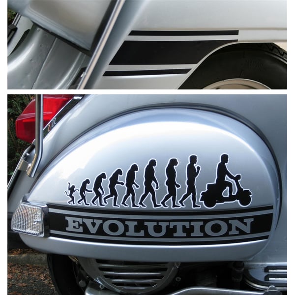 Image of Aufkleberset mit Motiv "Evolution"