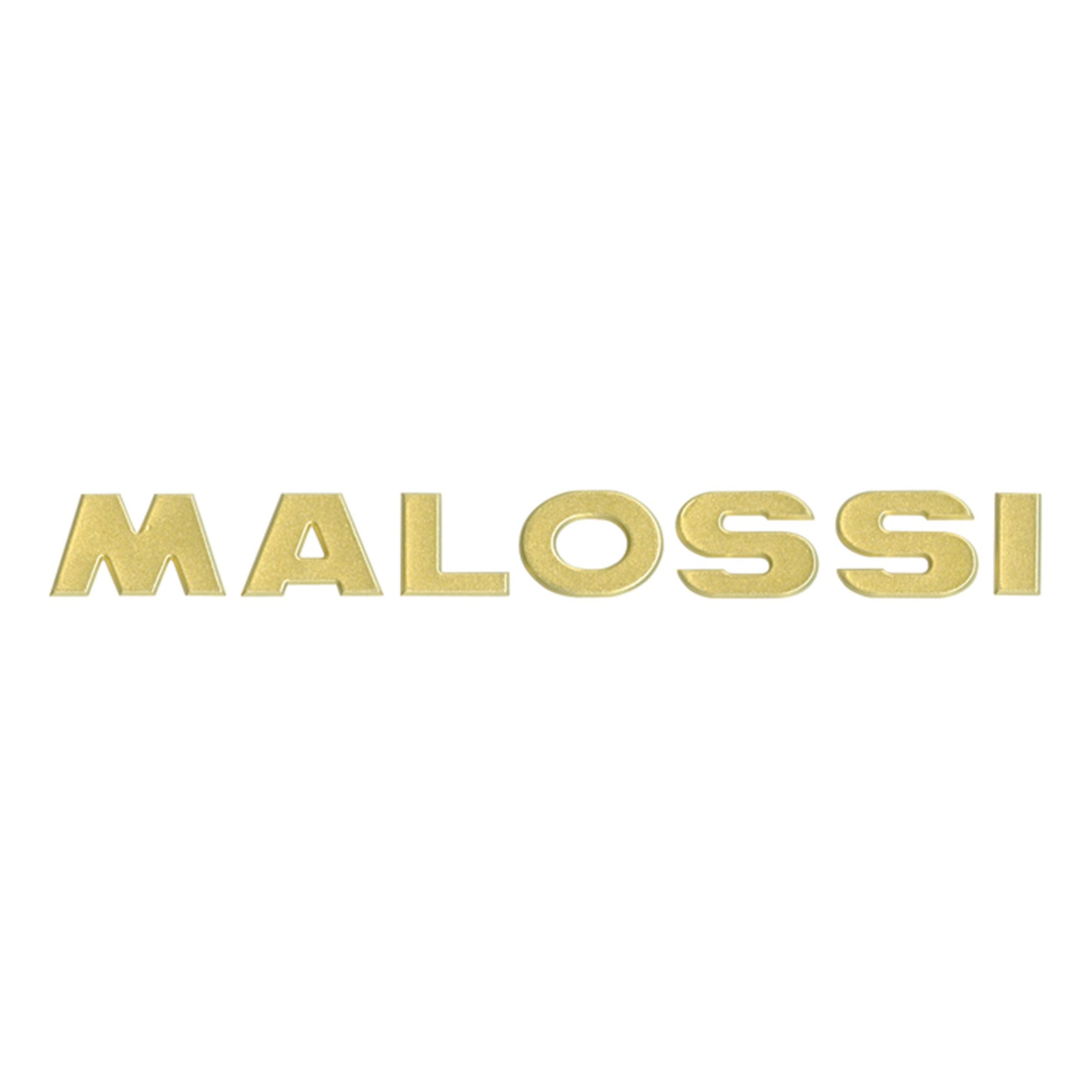 Image of Aufkleber MALOSSI Logo mittel, 3D