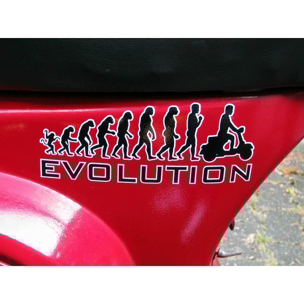 Image of Aufkleber mit Motiv "Evolution"