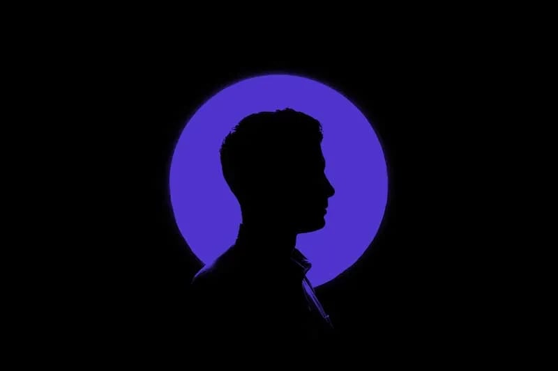 black silhouette on a purple moon background