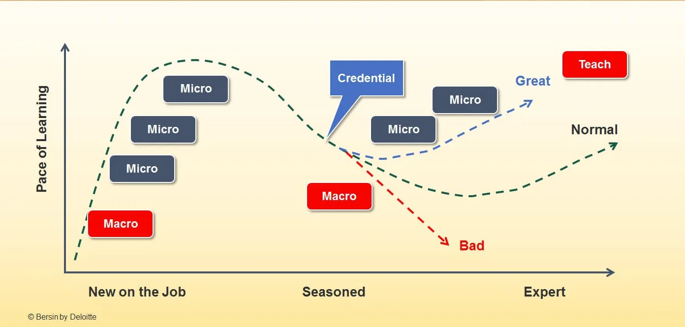 Graph of micro and macro learning vs forgetting curve