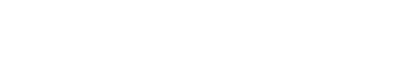 skis