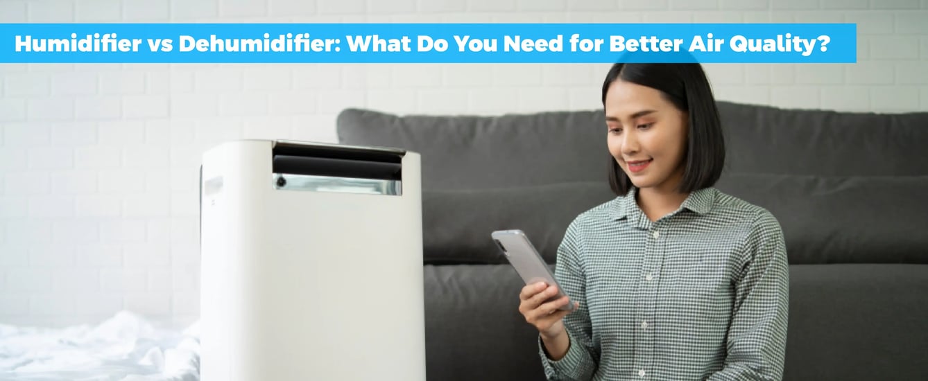 Humidifier vs Dehumidifier: What Do You Need for Better Air Quality?