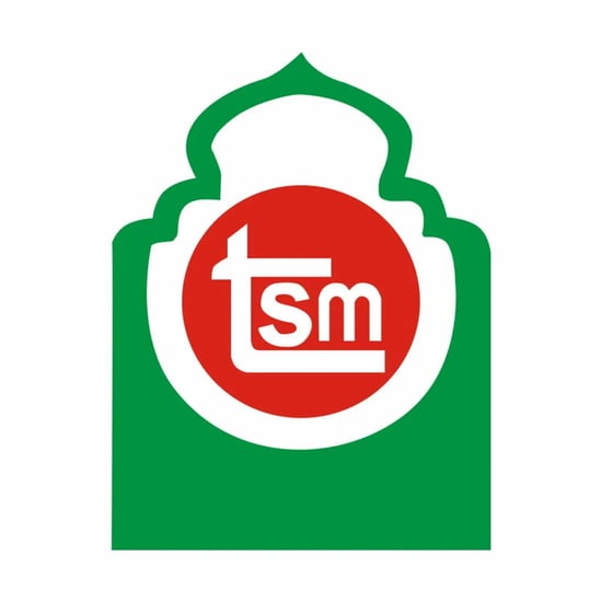 TSM logo