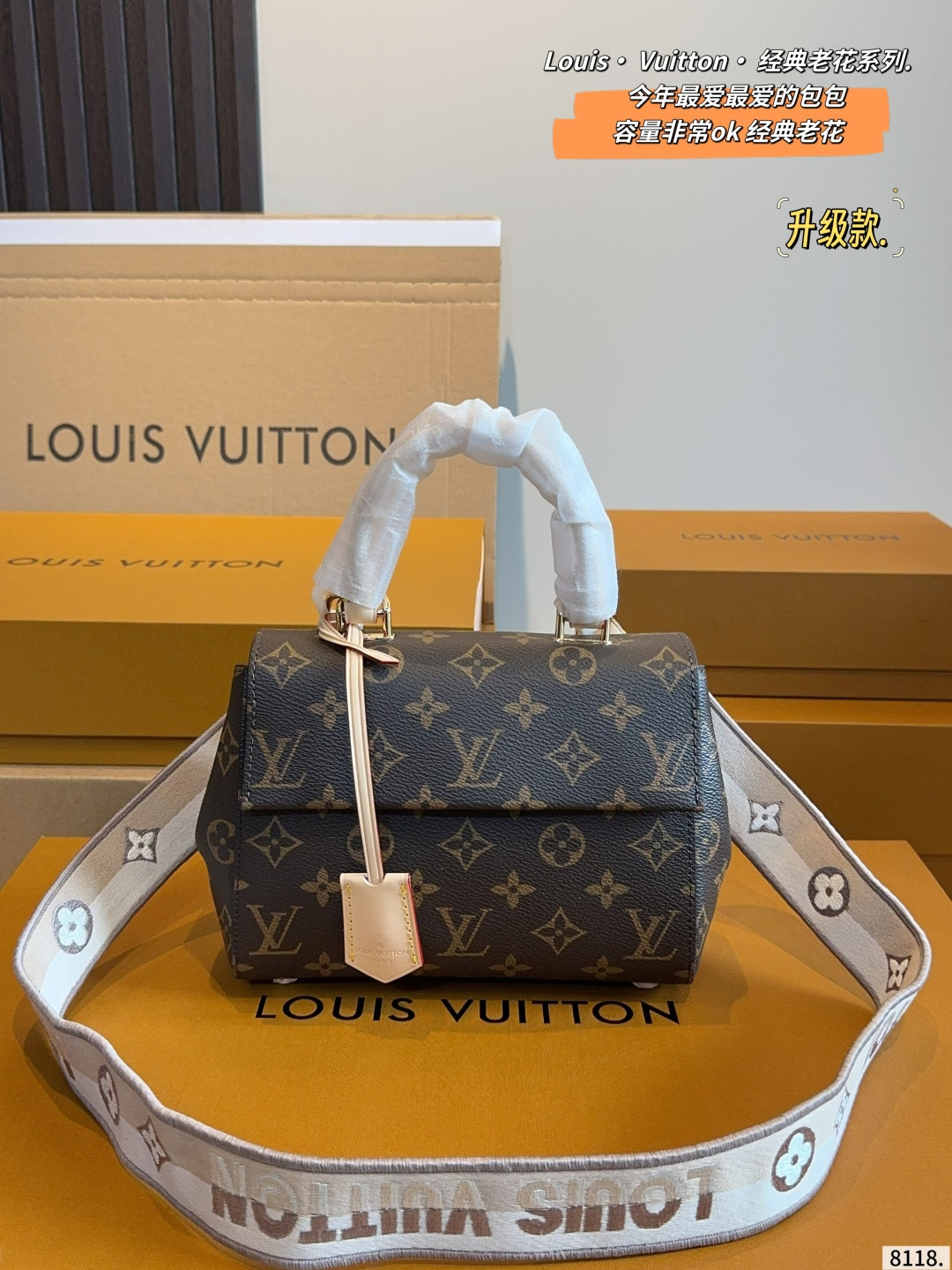 Louis Vuitton Cluny Mini
