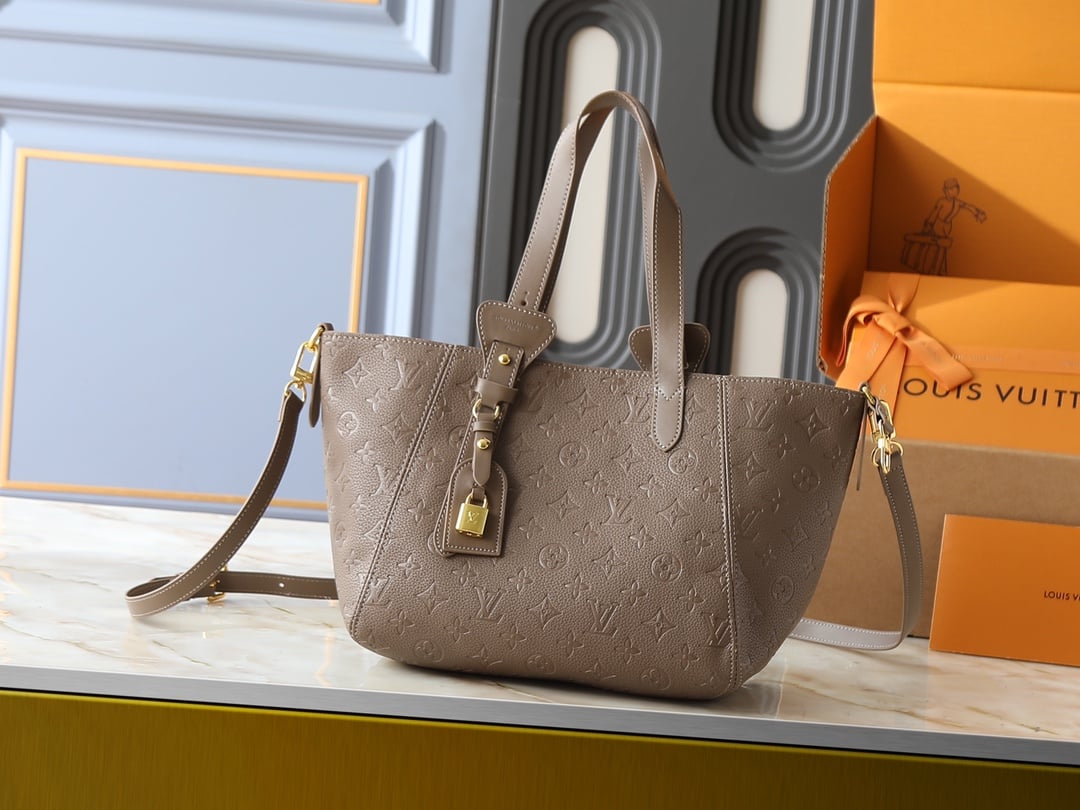Louis Vuitton All In One