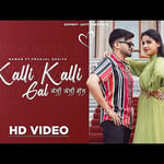 Kalli Kalli Gal Lyrics
Nawab