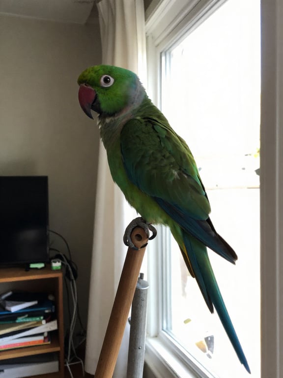 Reimagine this parrot photo as...