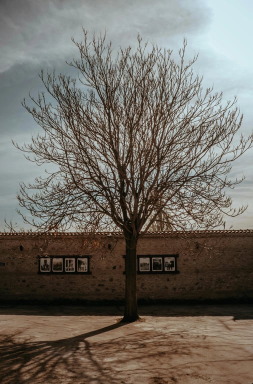 Generate street graffiti that feels situational and site-specific, as if created in direct response to a particular place and moment. Allow mood, urgency, and spatial constraints to influence letter shape, spacing, and composition, making the piece feel context-driven rather than generic.