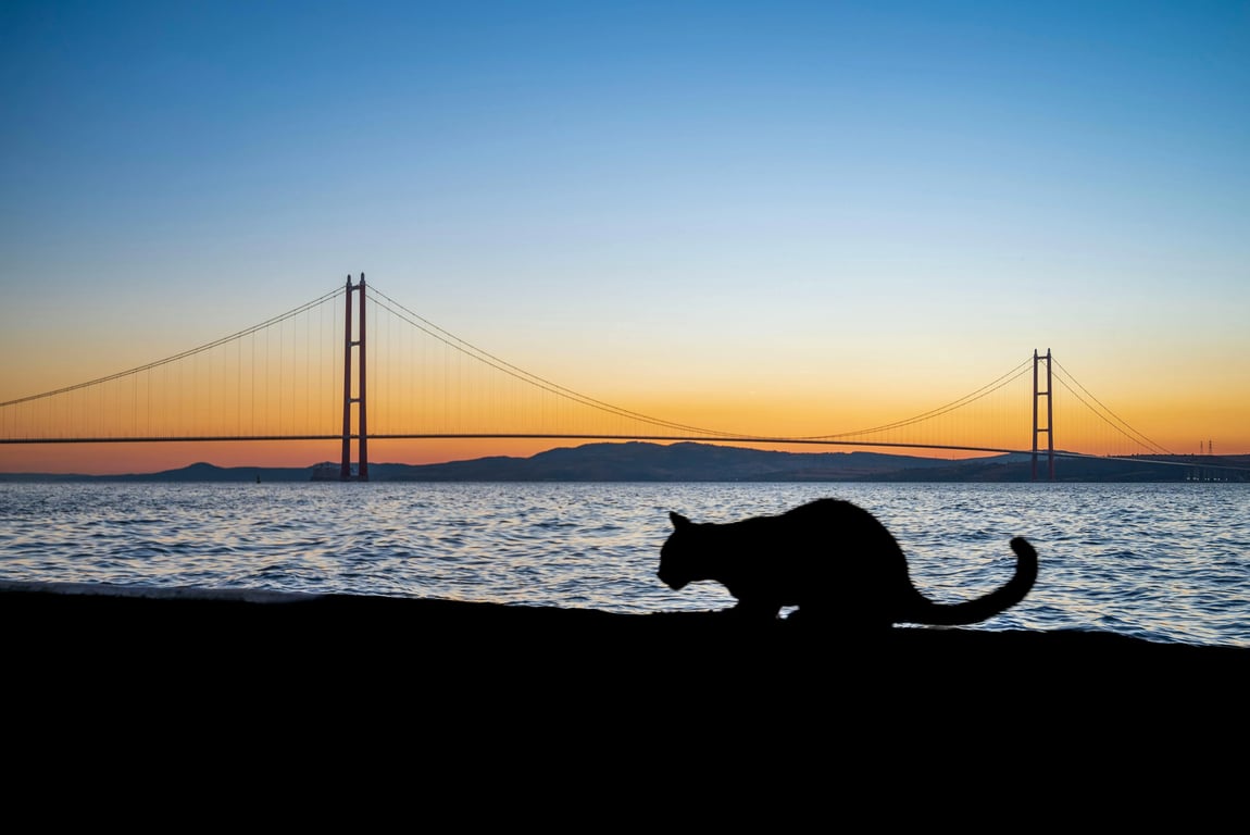 AI remove color from image before photo - bridge over water at sunset with warm tones