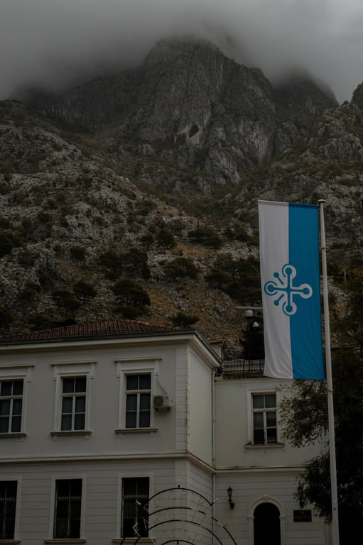 A minimalist flag for a tech startup: a simple two-color field (light grey and electric blue) with a clean, abstract circuit path or node symbol in the center.