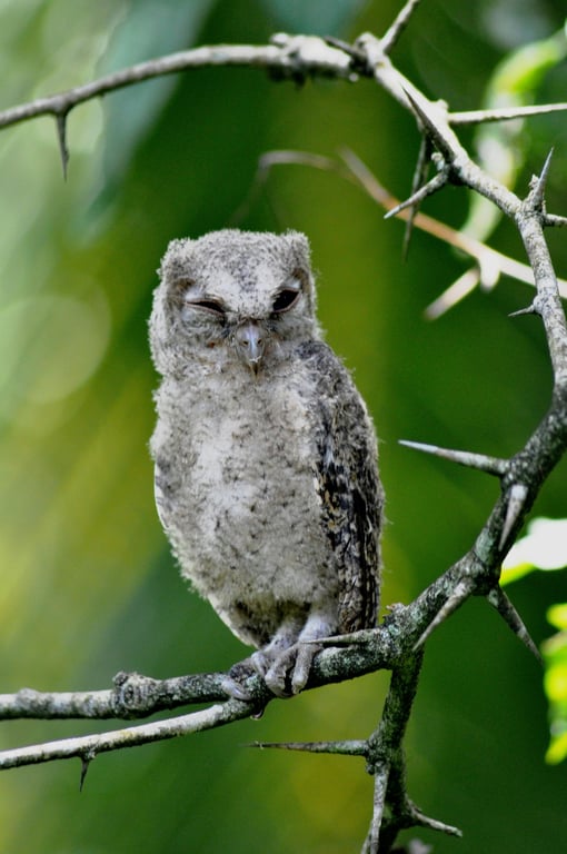 旅行与风景内容
