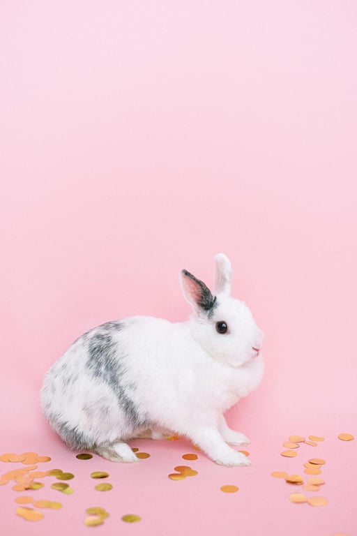 AI pet portrait generator free before pic - pink background bunny