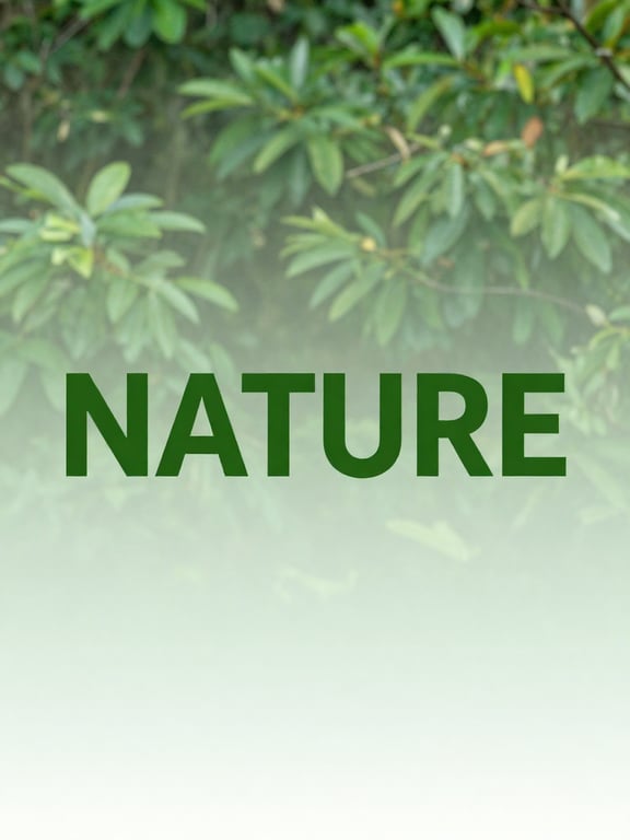 Transform this simple word-mar...