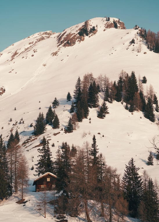 Transform your photos with kaze ai's image tinter, offering precise color adjustments for perfect mood enhancement. Ideal for photographers, designers, and social media enthusiasts looking to add a creative touch to their visuals.