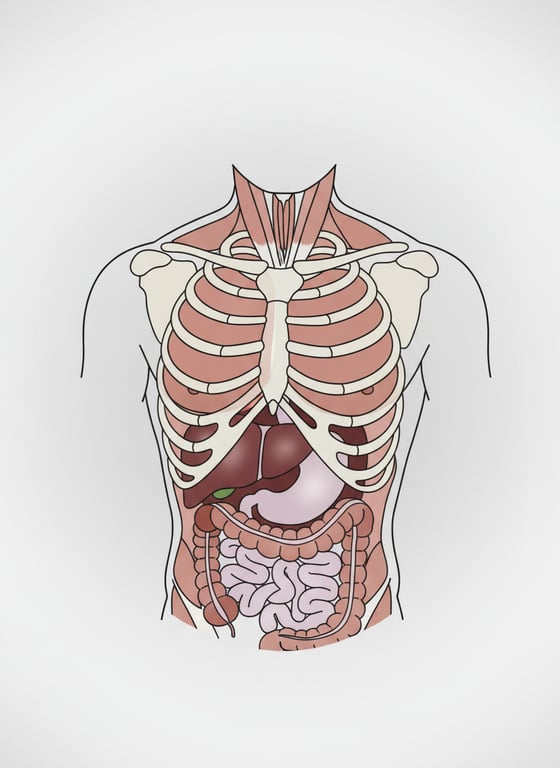 Convert this photographic tors...