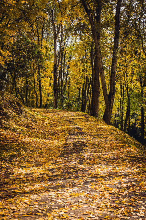 Kaze AI photo to watercolor generator natural scence to watercolor painting