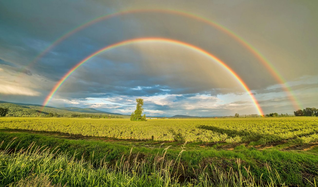 photo to watercolor before pic - rainbow above green field and cloudy sky