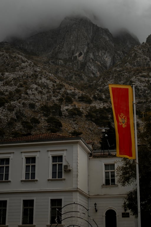 A minimalist flag for a tech startup: a simple two-color field (light grey and electric blue) with a clean, abstract circuit path or node symbol in the center.