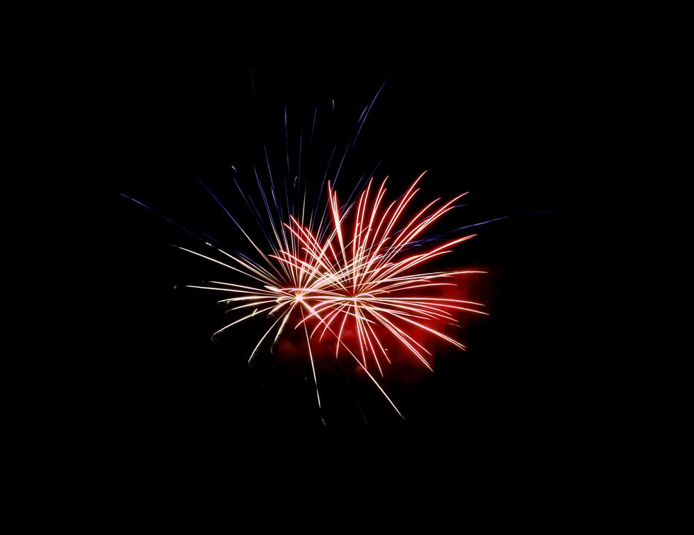 Music Festival Promotions