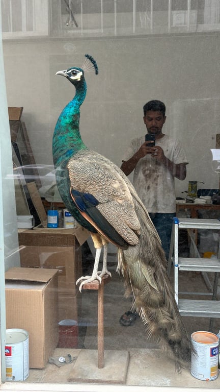 Transform this entire scene in...