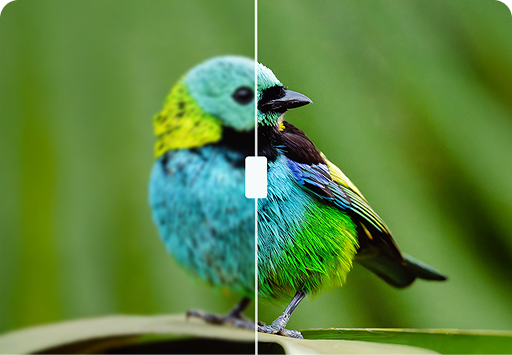 Увеличитель изображений