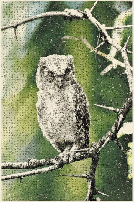 A large-format ASCII art of an animal (like an owl), where the feathers and eyes are meticulously rendered with commas, periods, and asterisks.