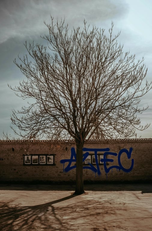 Generate street graffiti that feels situational and site-specific, as if created in direct response to a particular place and moment. Allow mood, urgency, and spatial constraints to influence letter shape, spacing, and composition, making the piece feel context-driven rather than generic.