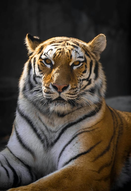 a semi-realistic animal hybrid illustrated as if it evolved naturally, with cohesive body proportions, biologically consistent anatomy, smooth transitions between inherited traits, restrained realism, and a visually comfortable wildlife concept appearance