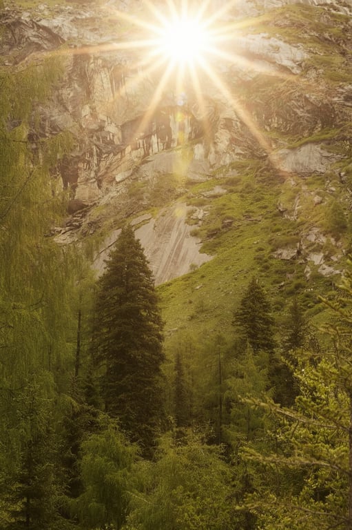 a landscape photo of a field with a realistic sun added just above the horizon, creating lens flare streaks and a warm golden glow across the scene.