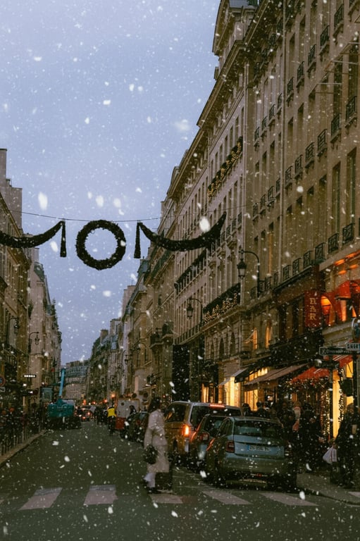 a dense snowfall transformation that introduces layered snow particles of varying sizes and focus, with visible depth and motion, partially obscuring the background to simulate active snowfall in a cold outdoor environment