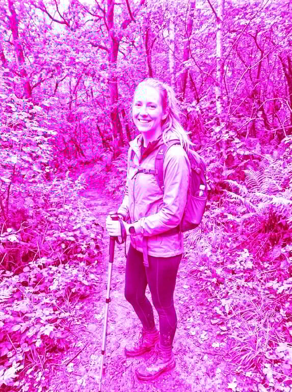 Transform the entire forest sc...