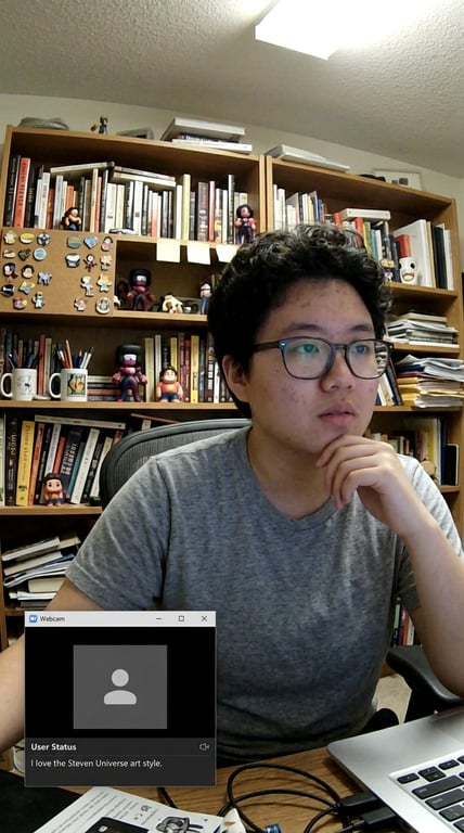 Redesign this webcam snapshot ...