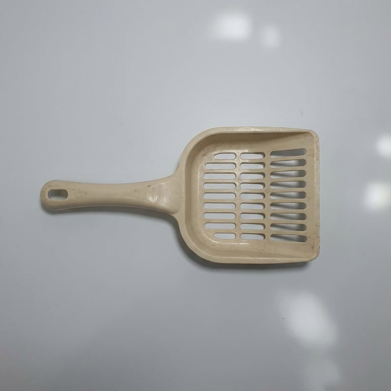 Convert this into a polished l...