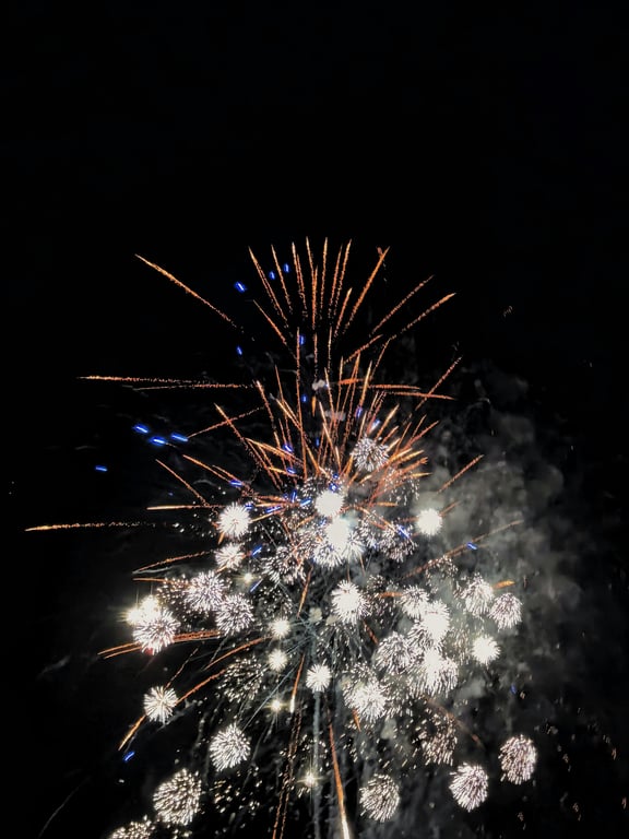 Birthday & Celebration Videos