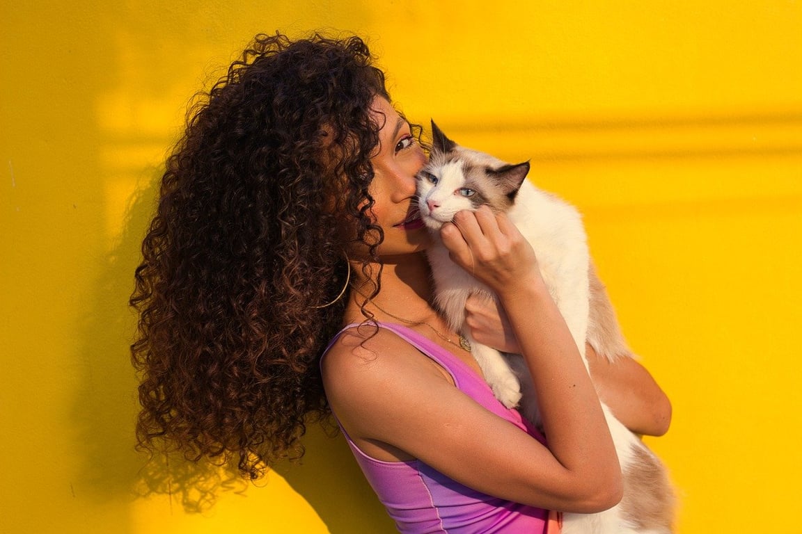 AI photo to 3D model filter before photo - original flat image before AI depth creation