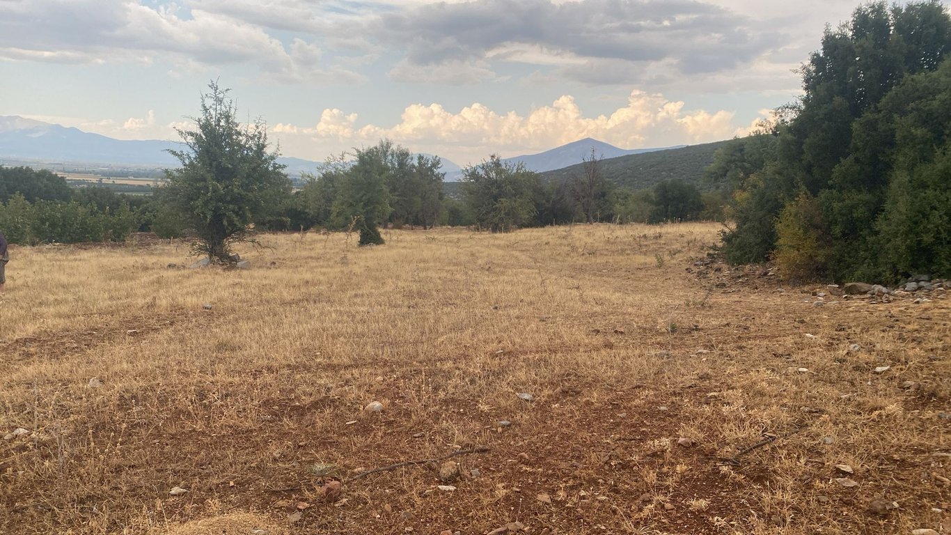 Tavas Uluköy'de 2.795 m2 Yatırımlık Fırsat Tarla - 2