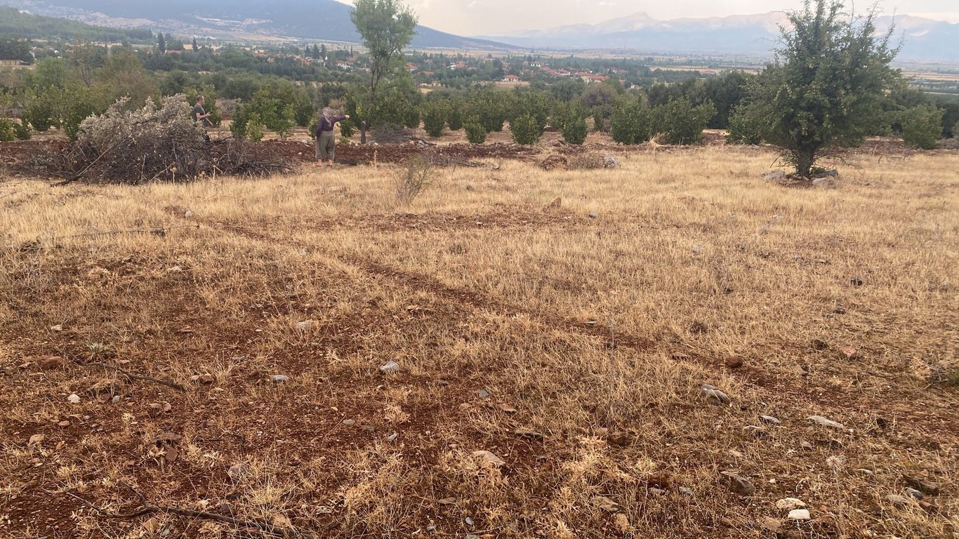 Tavas Uluköy'de 2.795 m2 Yatırımlık Fırsat Tarla - 5