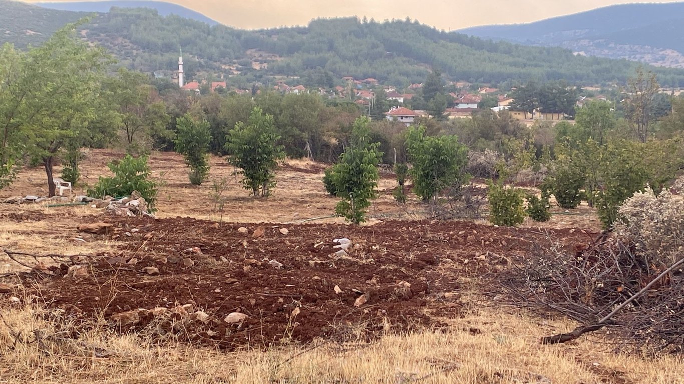 Tavas Uluköy'de 2.795 m2 Yatırımlık Fırsat Tarla - 4
