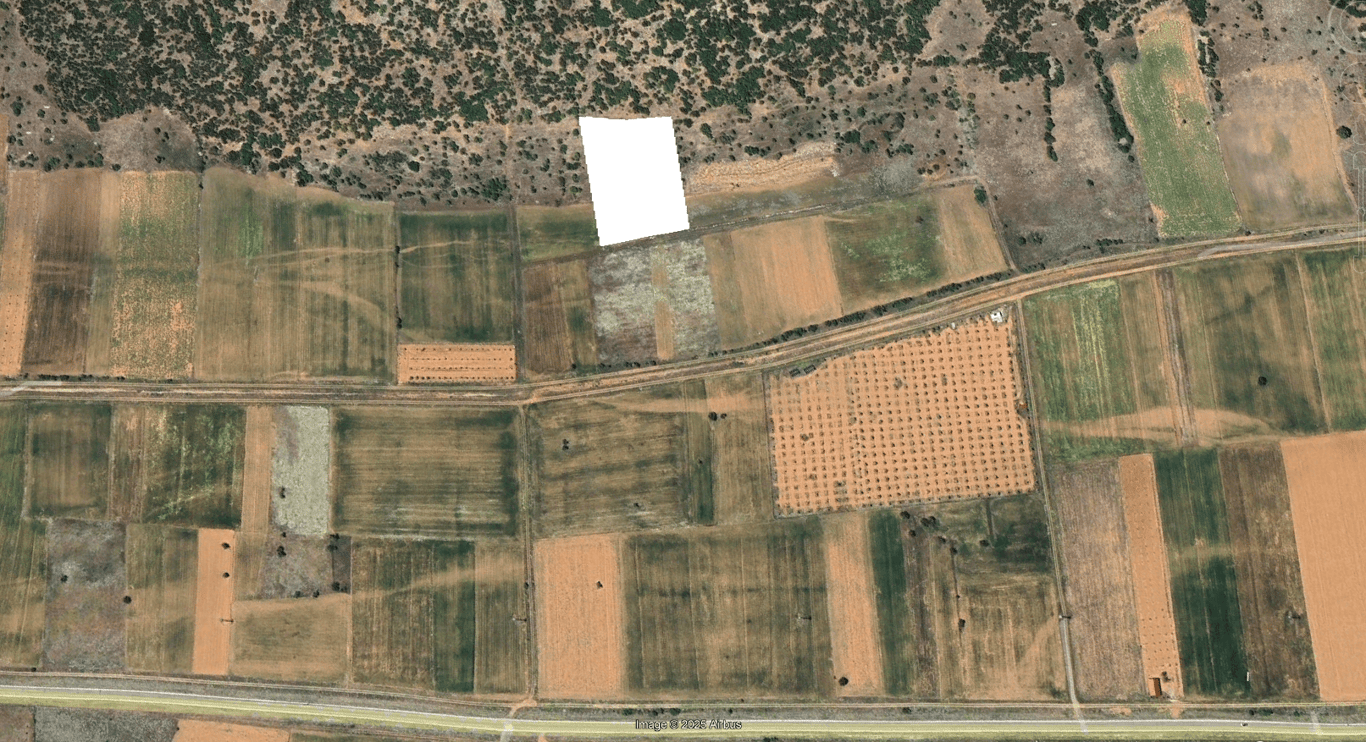 Tavas Garipköy'de 5.863 m² Yatırımlık Fırsat Tarla - 4