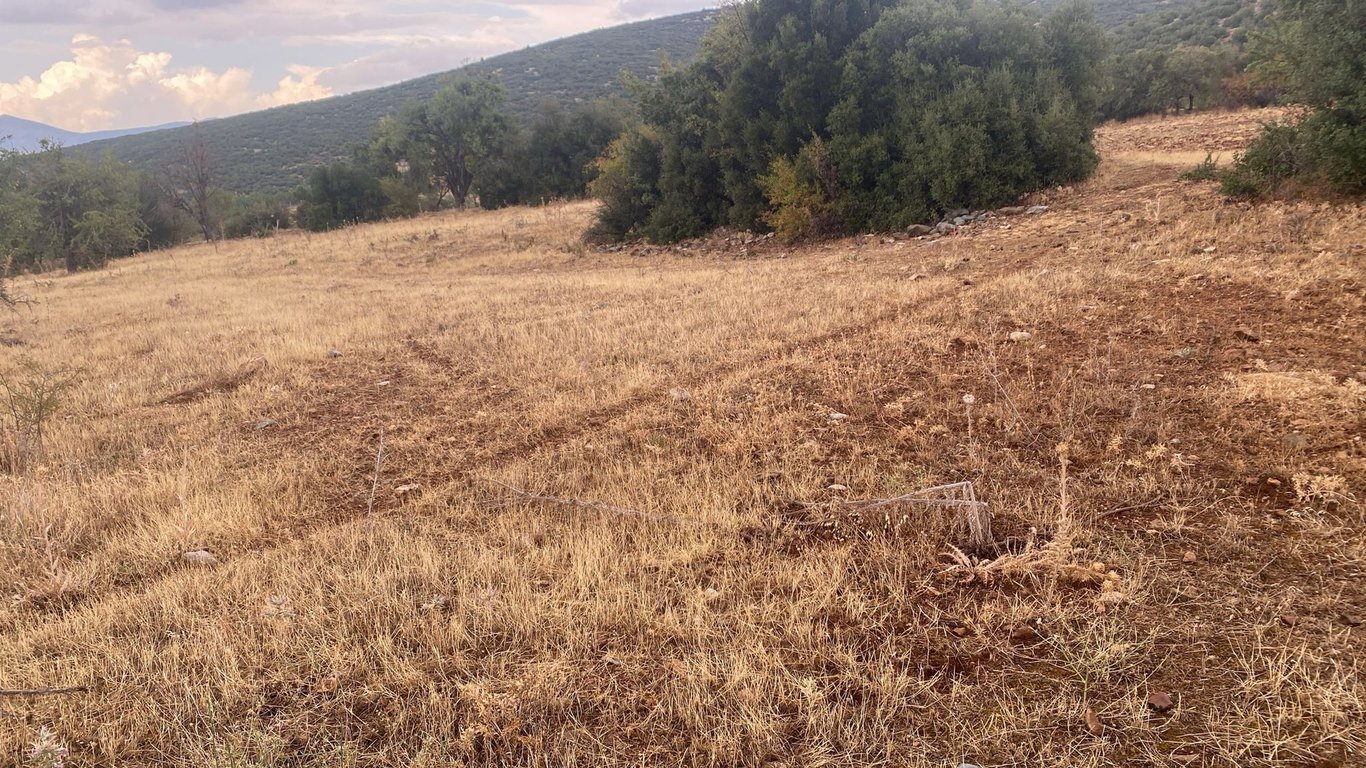 Tavas Uluköy'de 2.795 m2 Yatırımlık Fırsat Tarla - 6