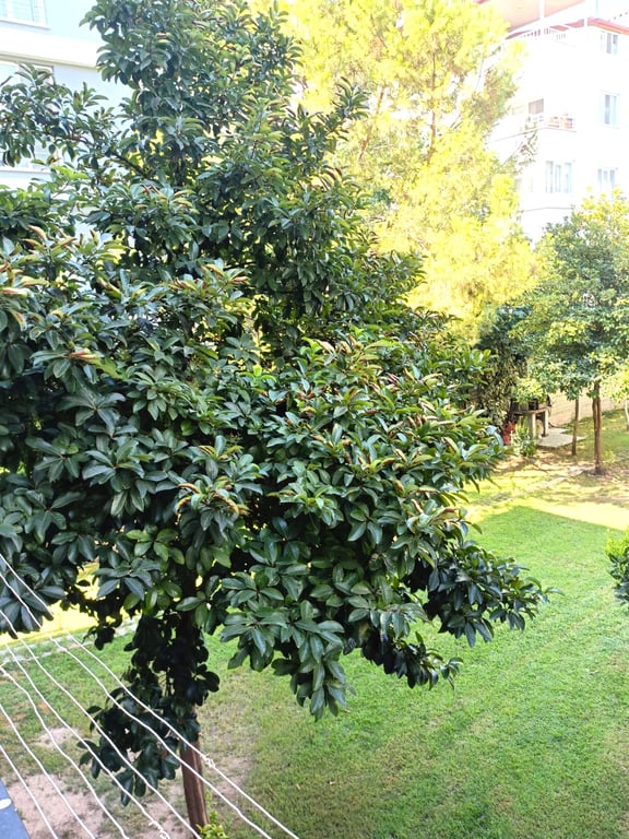 Bağbaşı'nda 3+1 / 175 m² Site İçerisinde Masrafsız Fırsat Daire - 7