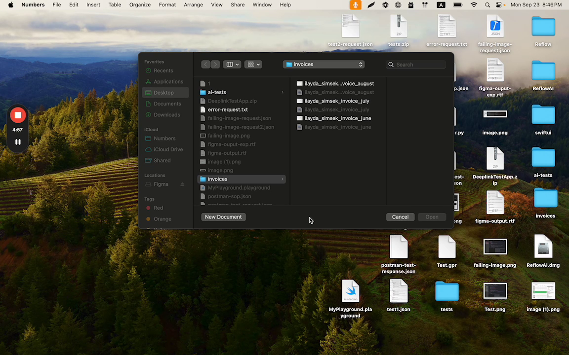 New Document Button in Numbers