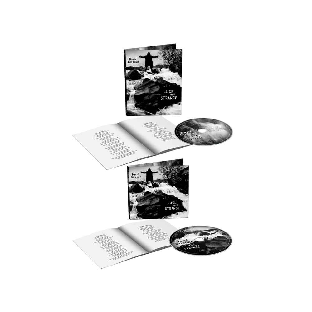 Townsend Music Store // Exclusive & Limited-Edition Vinyl - David ...