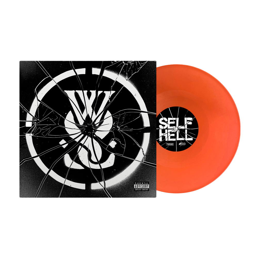 while she sleeps/you are we レコード　LP while she sleeps/you are we レコード LP While She Sleeps