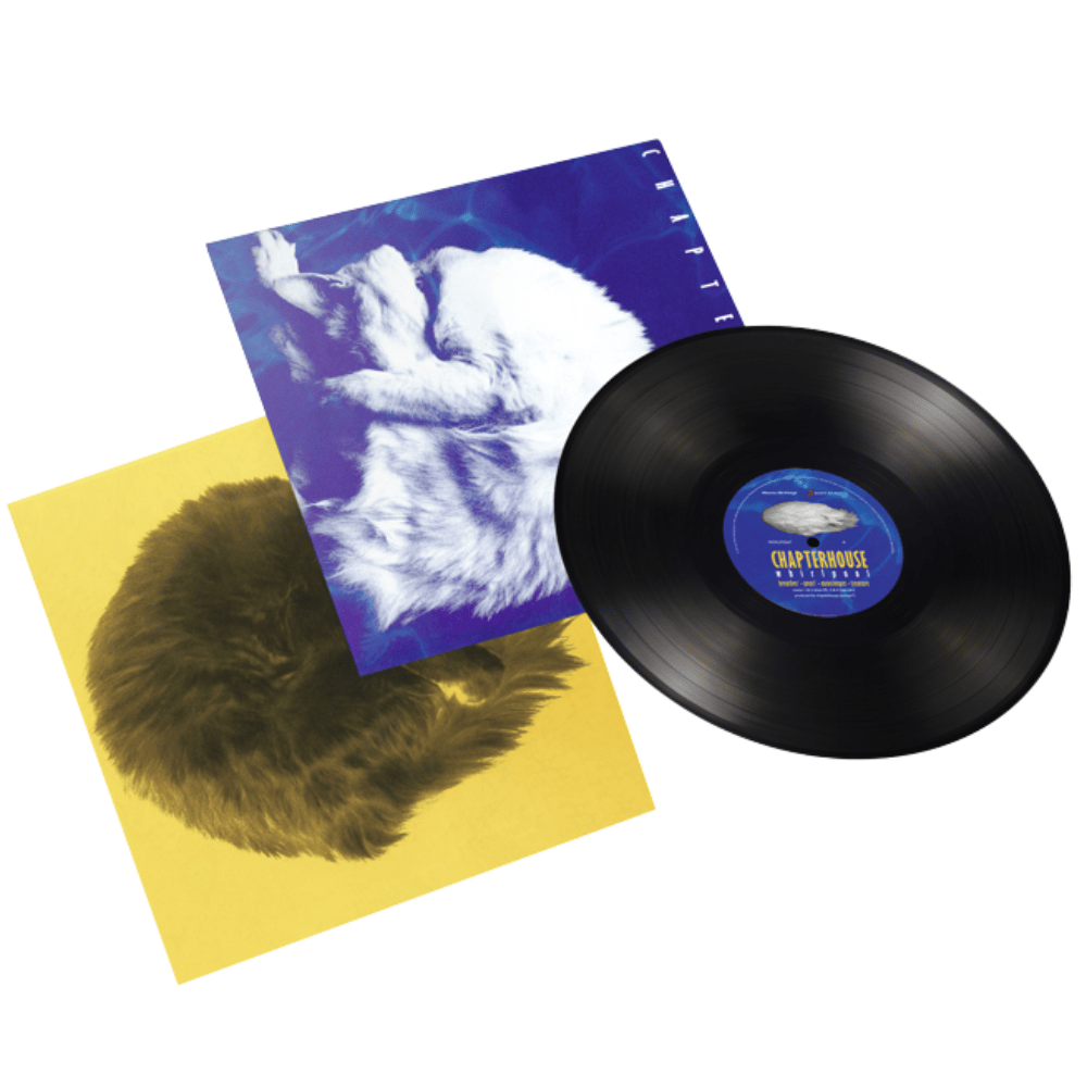 Whirlpool | Chapterhouse | Townsend Music