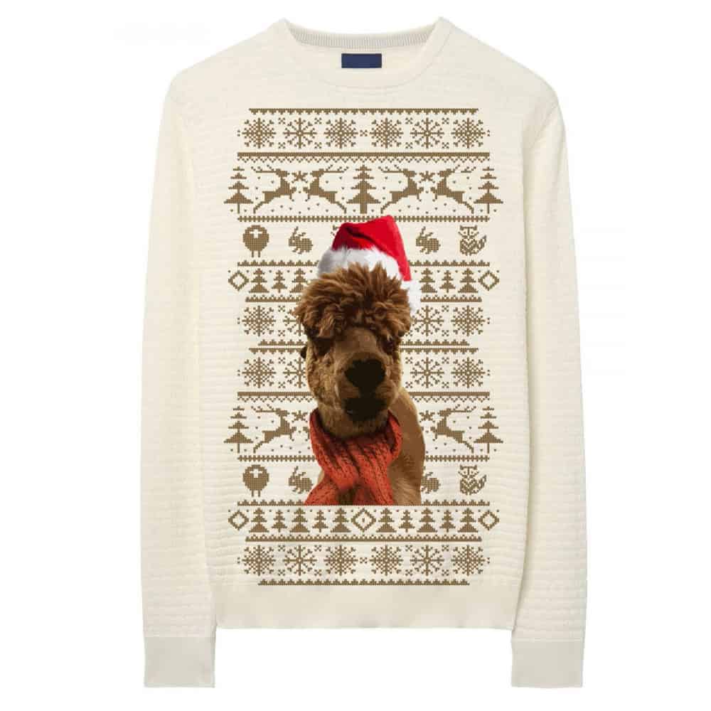 Buy Online Leona Lewis - Beige Alpaca Sweatshirt
